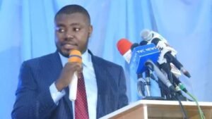 Reps dismiss Ndume’s tax law falsification claims