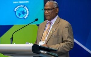 How Nigeria can turn gas into power, industry, economic growth – Experts