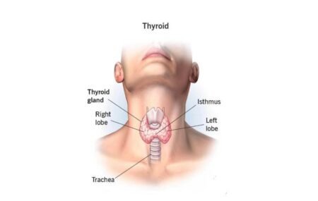 PT Health Watch: Persistent fatigue, weight changes may signal thyroid disorder – Expert