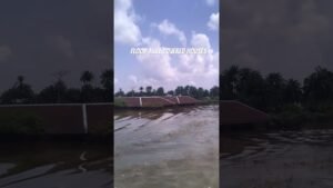 This flood took over so many house in Bayelsa Nigeria #flood #bayelsa #nigerianews This flood took over so many house in Bayelsa Nigeria #flood #bayelsa #nigerianews