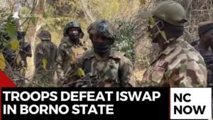 Nigerian Troops Defeat ISWAP in Borno
