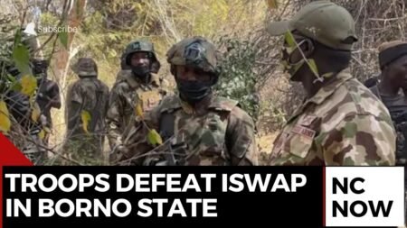 Nigerian Troops Defeat ISWAP in Borno