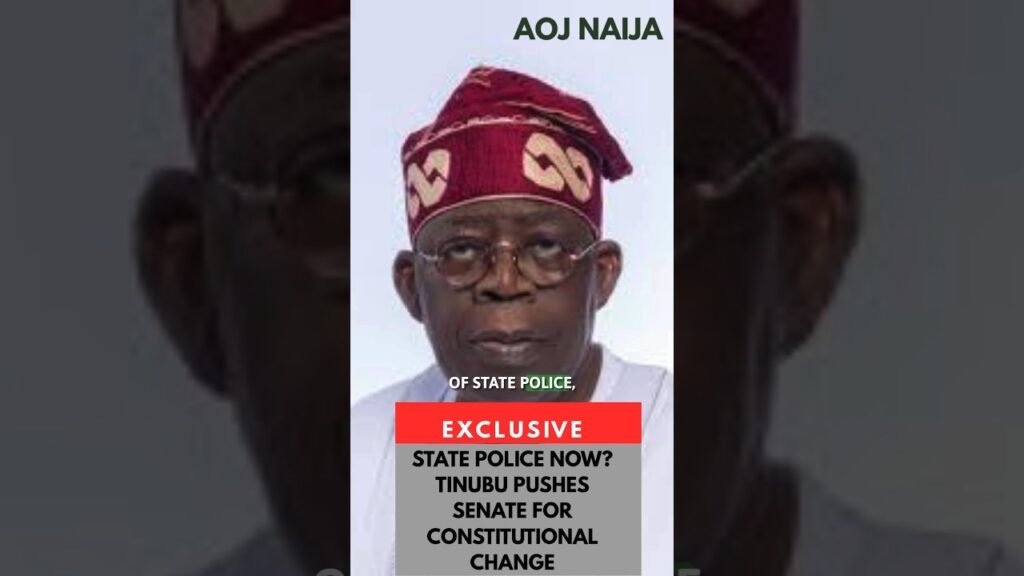 STATE POLICE; TINUBU PUSHES  FOR CONSTITUTIONAL CHANGE #nigerianews #presidenttinubu #statepolice