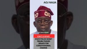STATE POLICE; TINUBU PUSHES  FOR CONSTITUTIONAL CHANGE #nigerianews #presidenttinubu #statepolice