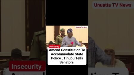 Amend Constitution To Accommodate State Police , Tinubu Tells Senators #fyp #news #nigeria