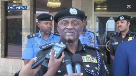 President Tinubu Decorates Tunji Disu As Acting IGP
