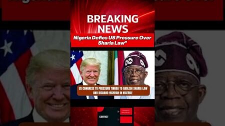 Nigeria Defies US Pressure Over Sharia Law”#usa #nigeria #fg #newstelly #foryourpage Nigeria Defies US Pressure Over Sharia Law”#usa #nigeria #fg #newstelly #foryourpage