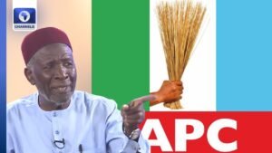 2027: If Nigerians Removed Jonathan Over Insecurity, APC Govt Can Be Cut Into Pieces — Galadima