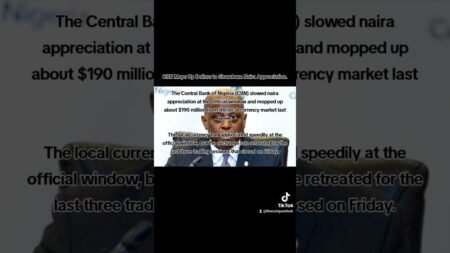 The Central Bank of Nigeria (CBN) slowed naira appreciation at the official window #nigeria #news