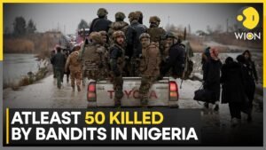 Nigeria: Group of Armed Men Attack Village & Kidnap Women From Zamfara; At Least 50 Killed | WION
