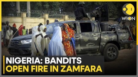 Nigeria: Group of Armed Men Attack Village & Kidnap Women From Zamfara; At Least 50 Killed | WION