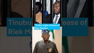 Tinubu urges release of Riek Machar