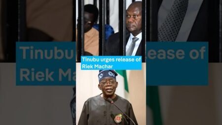 Tinubu urges release of Riek Machar