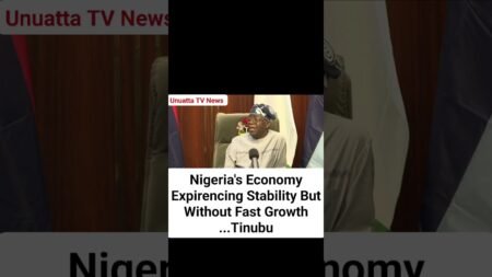 Nigeria’s Economy Expirencing Stability But Without Fast Growth …Tinubu #fyp #news #nigeria