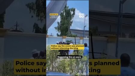 Ozoro Festival Update: Police Arrest Chief Priest  #nigeria #nigeria60 #newsnigeria #nigerianews