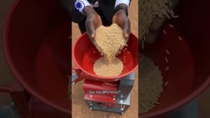 Make your own white magic.Meet jinsong rice mill machine #africa #nigerianews #machine #ricemill