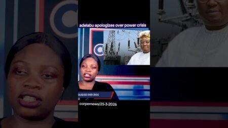 #Nigeria #PowerCrisis #Electricity #Adelabu #Energy #Abuja #PowerSupply #BreakingNews #nigerianews