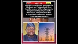 Nigeria’s Power Minister Apologizes for Blackouts and Pledges Quick Fixes.Adelabu goes on to blamed.