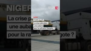 Nigeria : la crise pétrolière, une aubaine pour la raffinerie Dangote ? #nigeria #petrole #iran Nigeria : la crise pétrolière, une aubaine pour la raffinerie Dangote ? #nigeria #petrole #iran