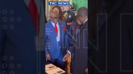 King Charles III, Queen Camilla Receive Pres Tinubu, First Lady At Windsor Castle