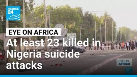 At least 23 killed in Nigeria suicide attacks • FRANCE 24 English
