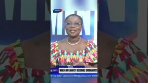 WHEN DIPLOMACY BECOMES EMBARRASSMENT—Case by Mrs. Jumoke James #politics #nigeria #viral #news WHEN DIPLOMACY BECOMES EMBARRASSMENT—Case by Mrs. Jumoke James #politics #nigeria #viral #news