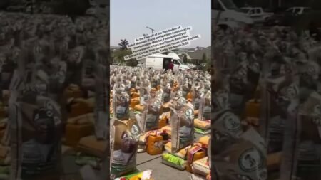 Nigeria Election is approaching #tinubu #rice #election #nigerianews