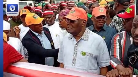 Atiku, Obi, Amaechi, Kwankwaso, Aregbesola, Mark, Others Lead ‘Save Democracy’ Protest