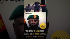 NAIJA- A NATIONAL CIRCUS OF BLACK EXISTENCE  #nigerianews  #buhari #nnamdikanu #tinubu #apc