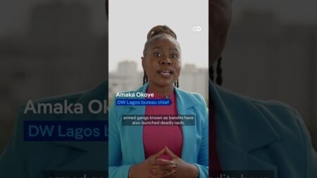 Deadly attack on Nigerian military base | DW News