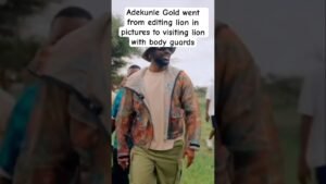 Adekunle Gold went to see lions #nigerianews #nigeria #adekunlegold #goviral #shorts #entertainment Adekunle Gold went to see lions #nigerianews #nigeria #adekunlegold #goviral #shorts #entertainment