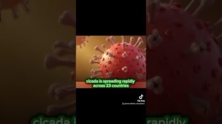 BREAKING NEWS THIS MORNING #news #newsupdate #trendingnews #nigerianews