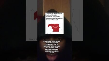 What will it take to STOP the insecurity crisis in Nigeria?#viral #nigerianyouth #shorts #nigeria