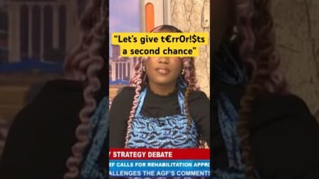 We should give t-e-r-r-o-r-ists a chance to repent – Chief of Army Defence Staff, General Oluyede