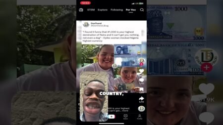 It is well #foryou #duet #reaction #explorepage #nigerianews