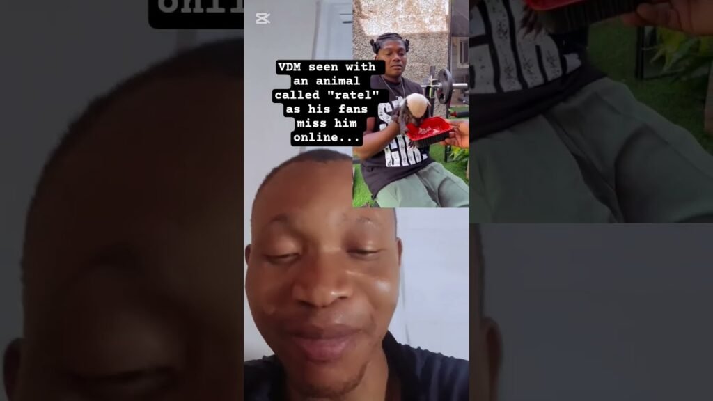 @Verydarkblackman seenfeeding ratel animal #nigerianews #latestnews #nigerianews #ratel #nigeria