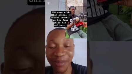 @Verydarkblackman seenfeeding ratel animal #nigerianews #latestnews #nigerianews #ratel #nigeria