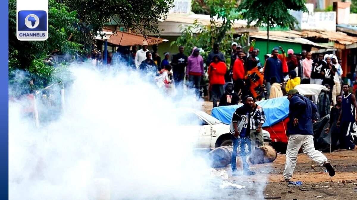 Alleged Treason Trial In Nigeria, Tanzania Election Violence + More | Network Africa