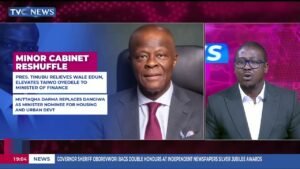 Why Tinubu Dropped Wale Edun As Finance Minister