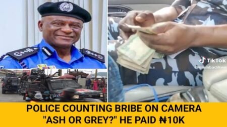 Police Extortion Caught on Camera: Nigerian Officer Demands ₦30,000 for “Grey vs Ash” Car Color