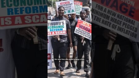 My moment of internet fame reflects Nigeria’s sceptical political mood | FT #shorts