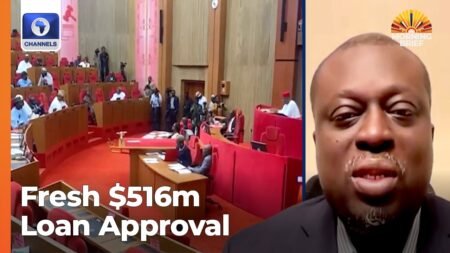 Fresh 6m Loan: Nigeria Walking Into ‘Dangerous Territories’ With Borrowings, Onigbinde Warns