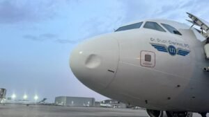 ANALYSIS: Inside the growing bird strike crisis affecting Nigeria’s aviation sector