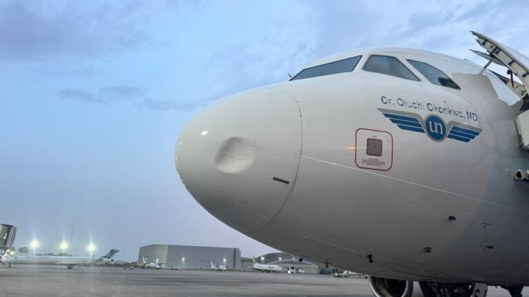 ANALYSIS: Inside the growing bird strike crisis affecting Nigeria’s aviation sector