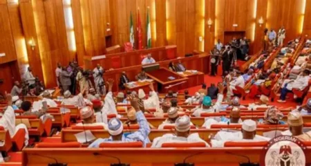 Senate confirms Tinubu’s ministerial nominee Muttaqha Darma