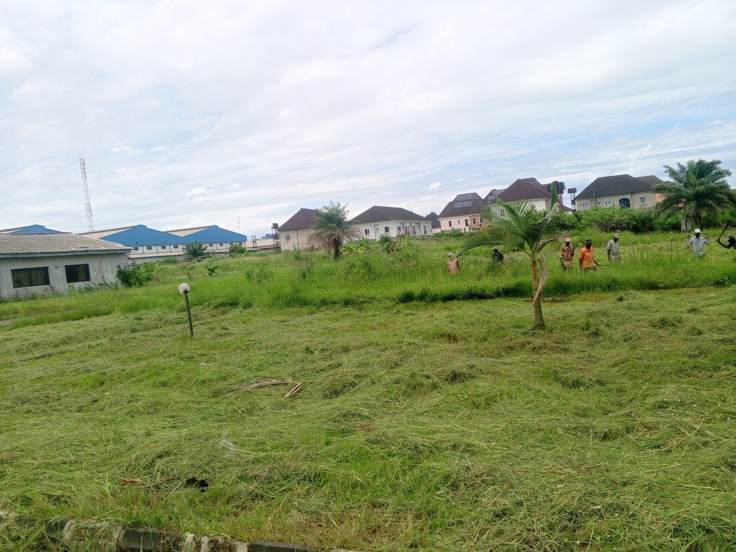 The proposed land for the rehabilitation facility in Amuwo-Odofin, Lagos, within SCIAN premises