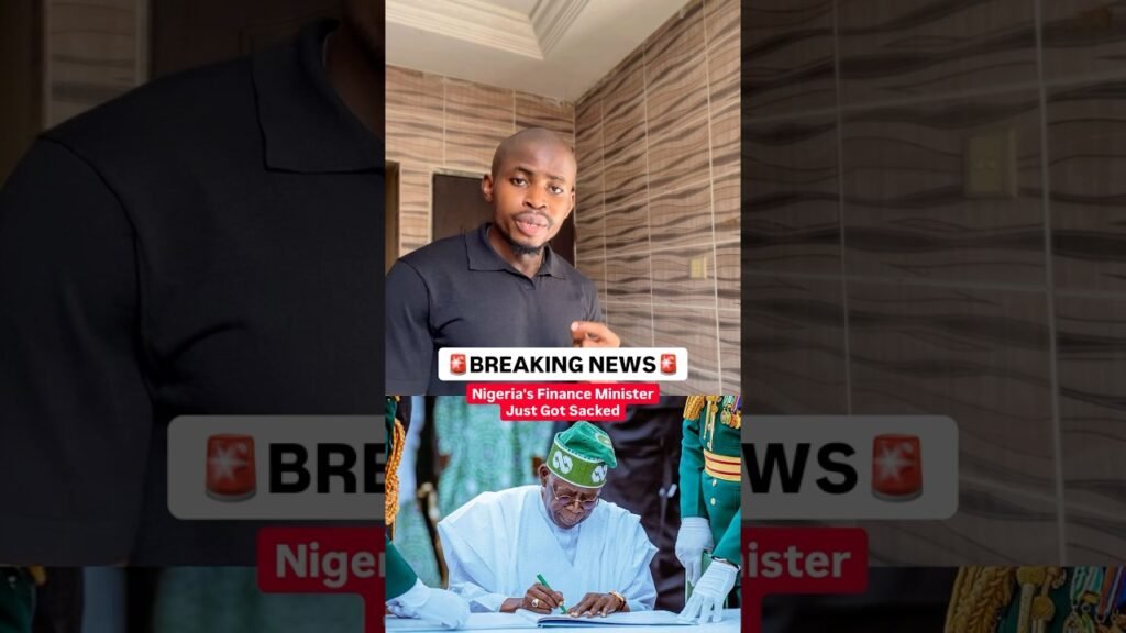 Nigeria Has a New Finance Minister — And His Story Is Something Else
