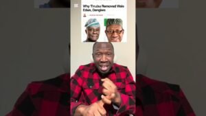 APC, Tinubu and Wale Edun’s sack #youtubeshorts #nigerianews #fyb #duet