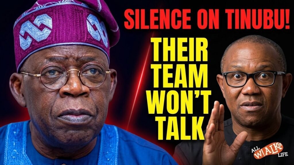 The Pattern Nobody’s Talking About: Tinubu’s Team Ignoring Tinubu:NIGERIA NEWS TODAY
