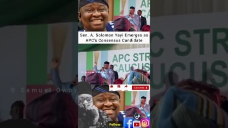 #trending #youtubeshorts #goviral #politics #tinubu #nigeria #news #government #africa #duet #yoruba